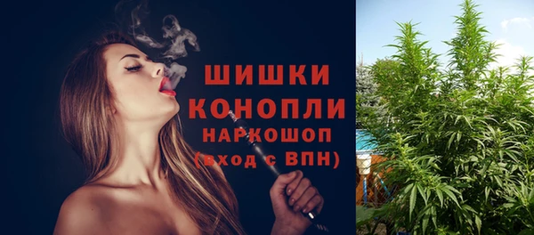 ECSTASY Майский