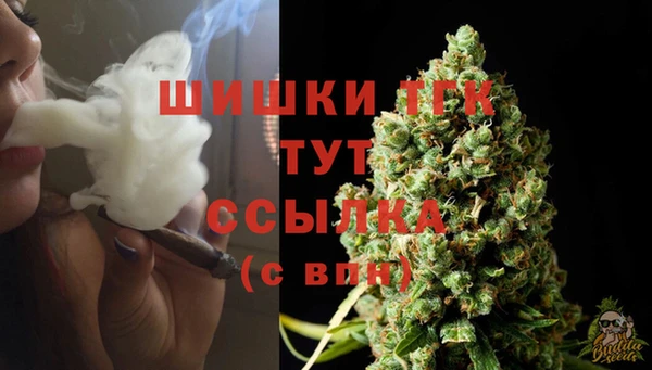 ECSTASY Майский